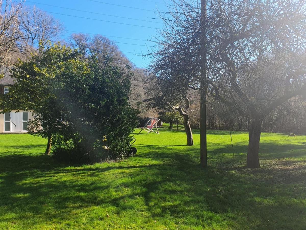 Osbornes Holiday House Near Exeter With Swimming Pool المظهر الخارجي الصورة
